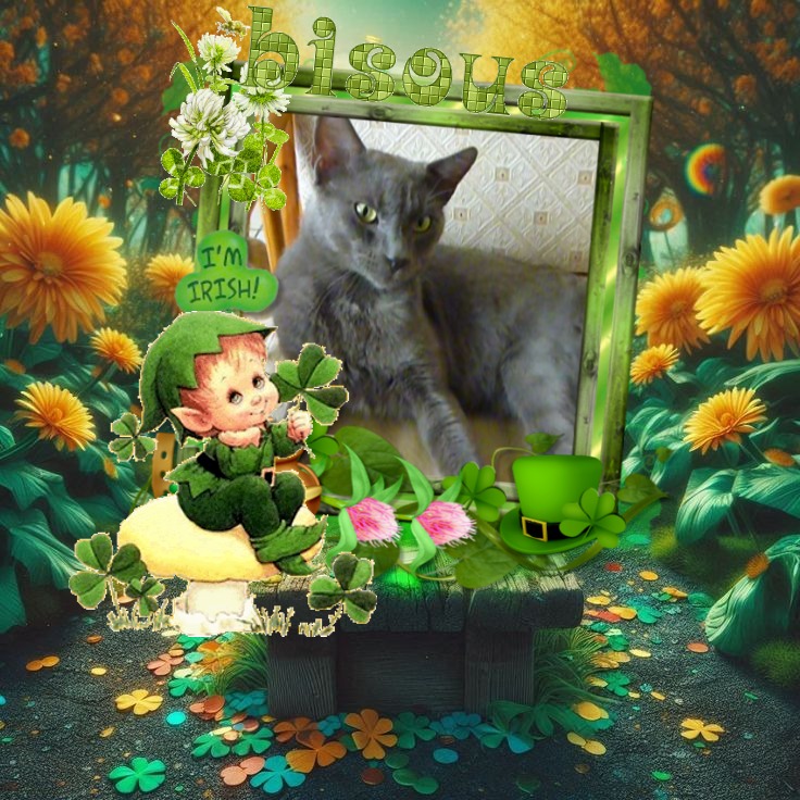 Khiro of the ElianaCT family