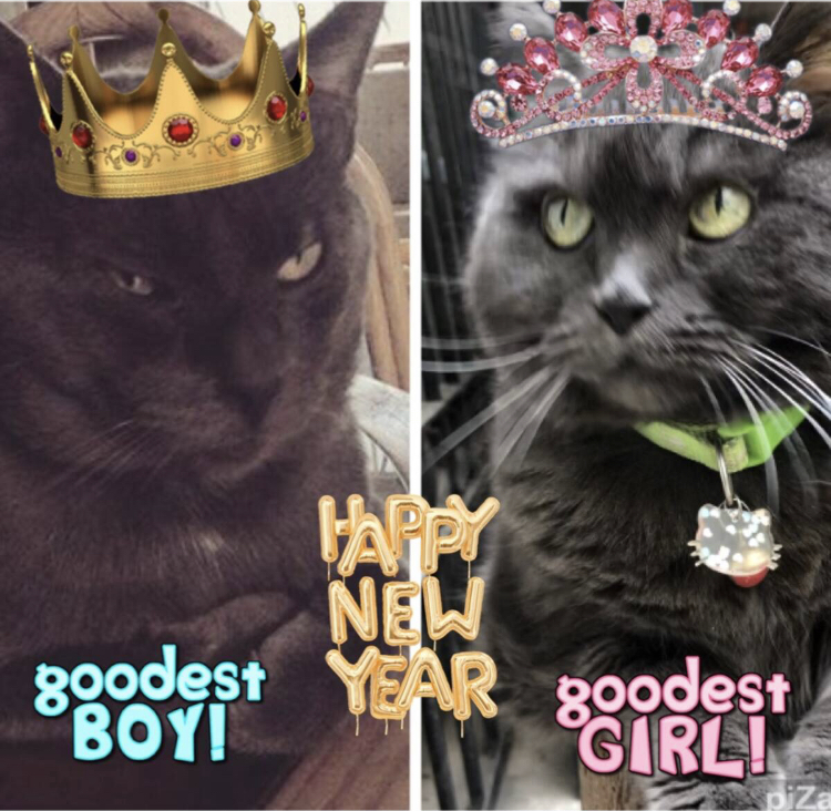 Khiro of the ElianaCT family