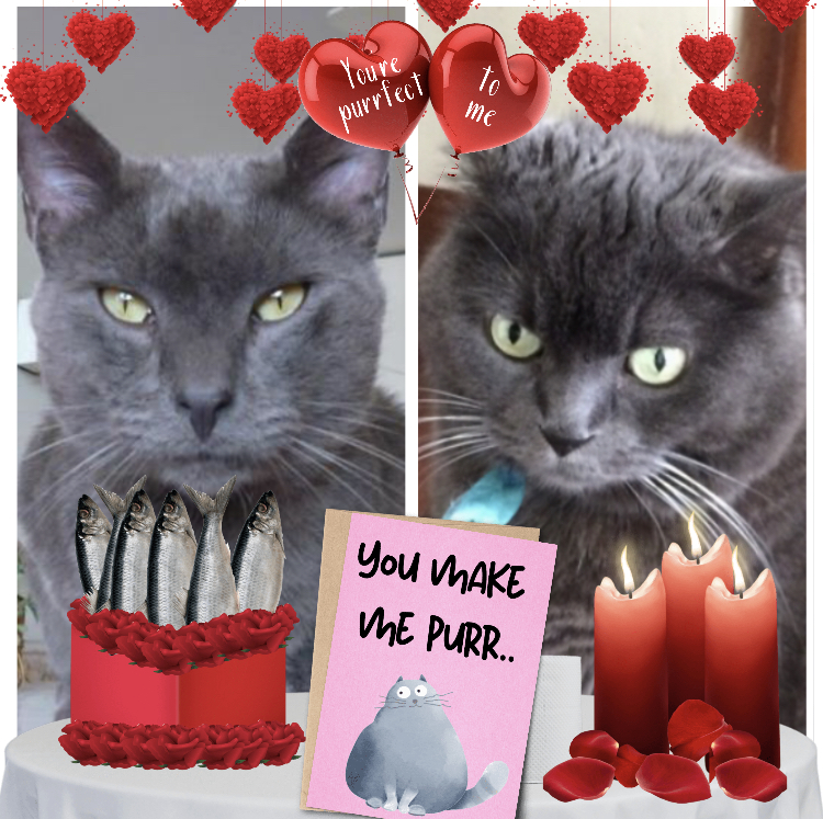 Khiro of the ElianaCT family