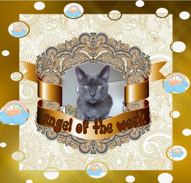 Khiro of the ElianaCT family