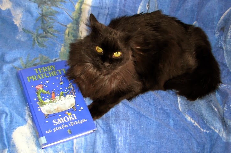 Felek of the Evik7 family