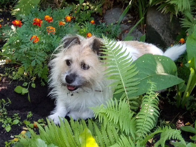 Evik7 uploaded   6 year/s ago