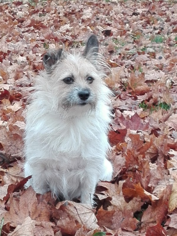 Evik7 uploaded   6 year/s ago