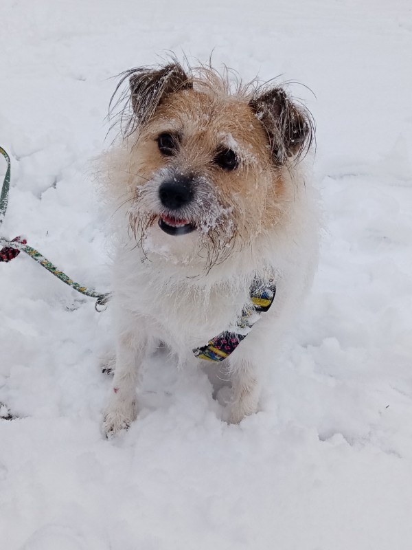 Evik7 uploaded   5 year/s ago