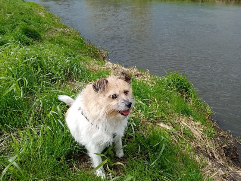 Evik7 uploaded   4 year/s ago