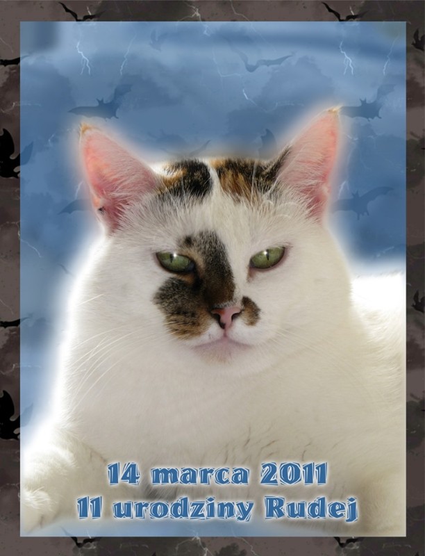 Ruda of the Evik7 family