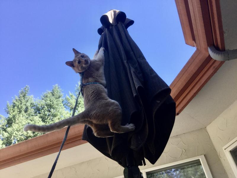 Jax uploaded   1 year/s ago