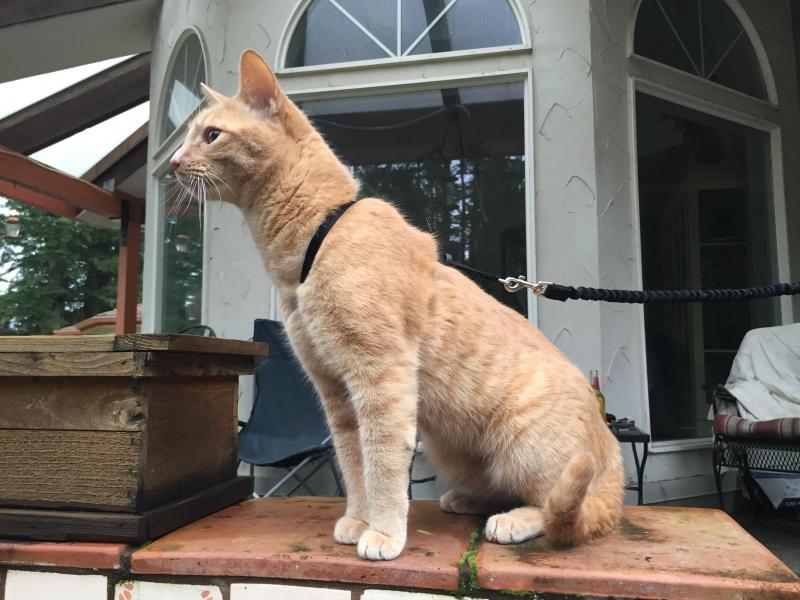 Jax uploaded   292  day/s  ago