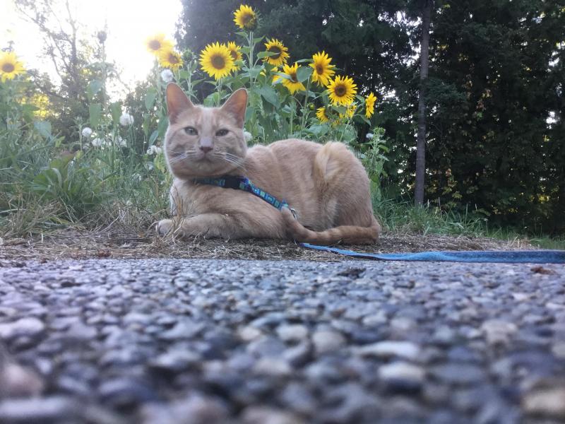 Jax uploaded   246  day/s  ago