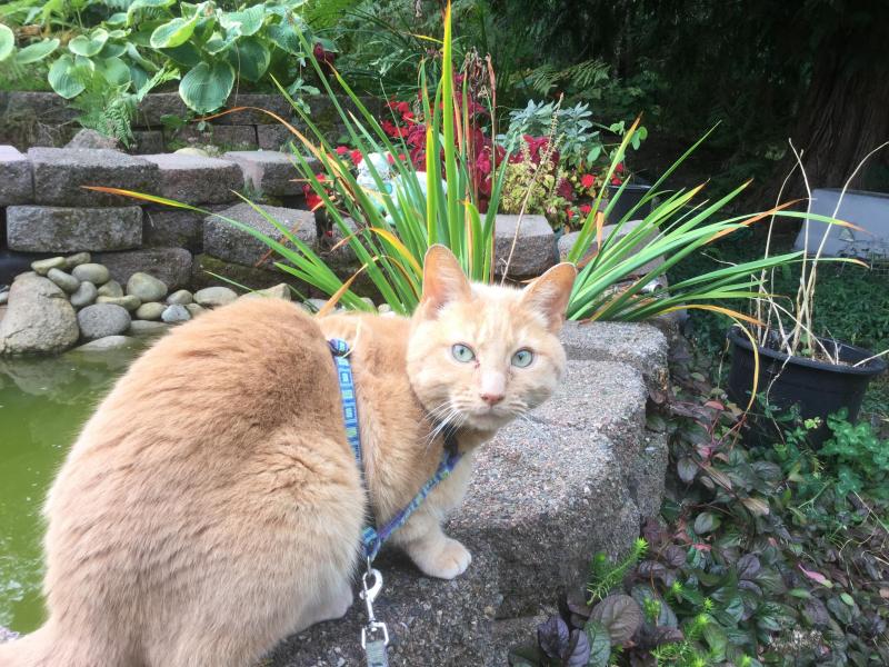 Jax uploaded   215  day/s  ago