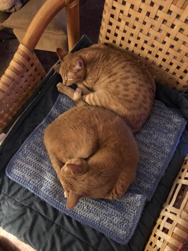 Jax uploaded   8  day/s  ago