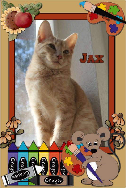 Jax uploaded   1 year/s ago