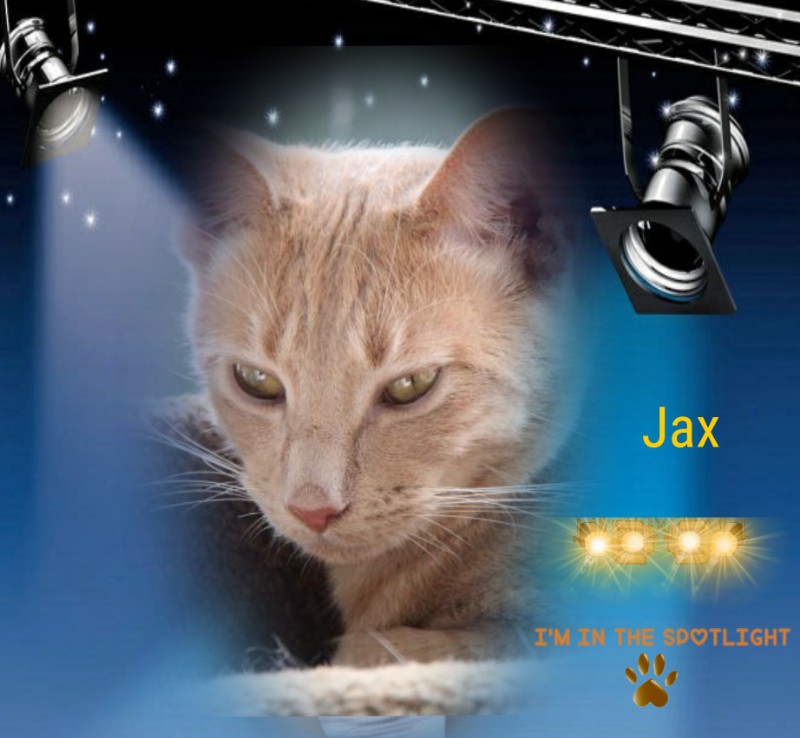 Jax uploaded   263  day/s  ago