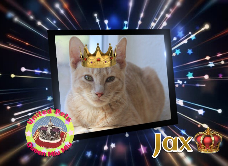 Jax uploaded   2 year/s ago