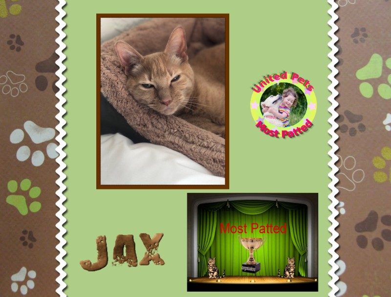 Jax uploaded   2 year/s ago