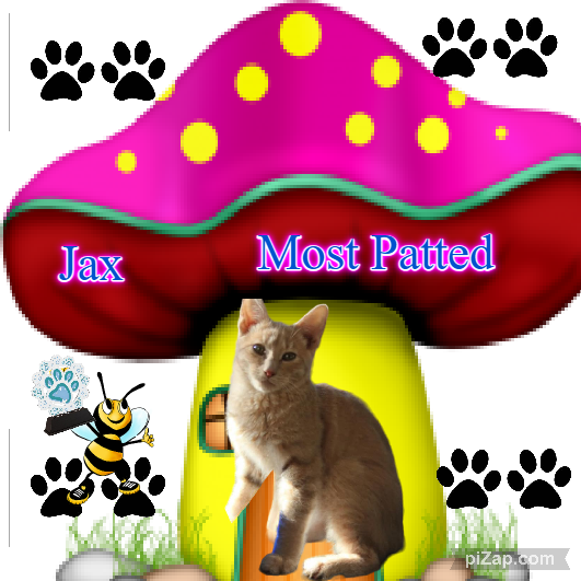 Jax uploaded   2 year/s ago