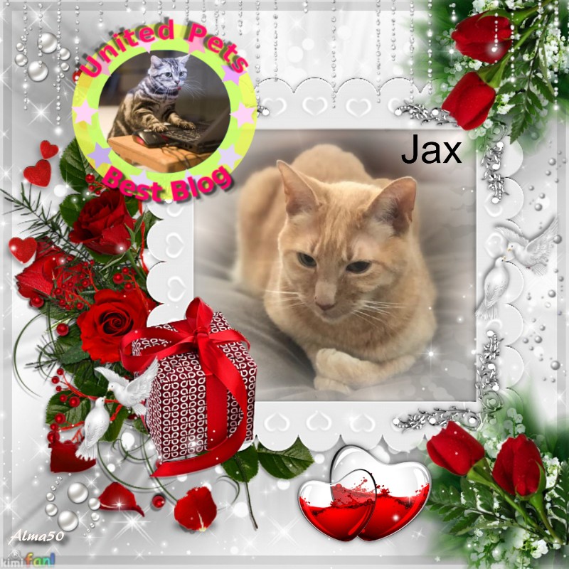 Jax uploaded   2 year/s ago