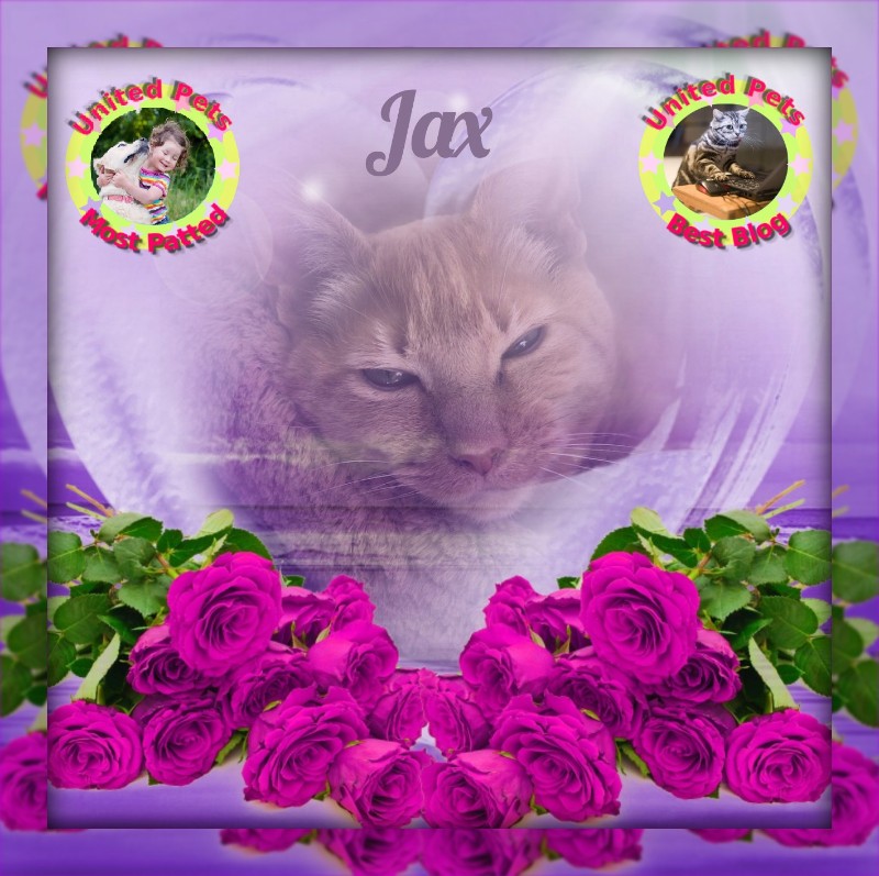 Jax uploaded   2 year/s ago