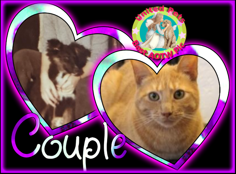 Jax of the Jax family