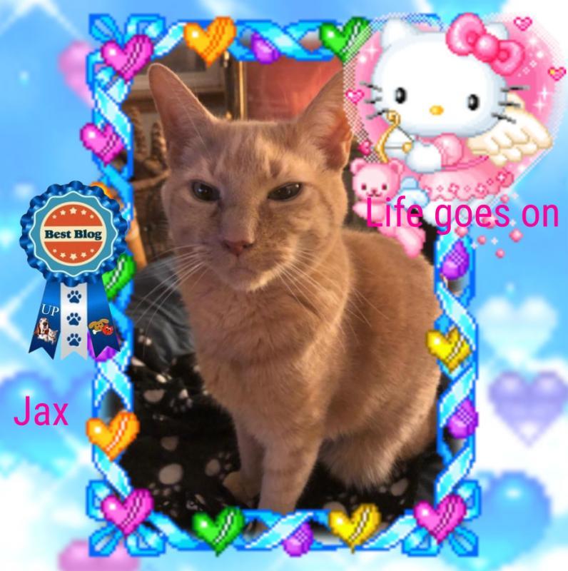 Jax uploaded   1 year/s ago