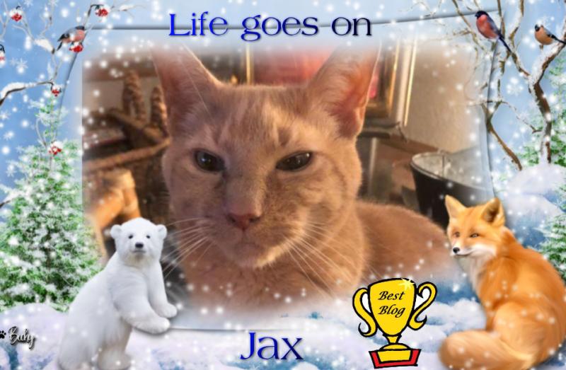 Jax uploaded   1 year/s ago