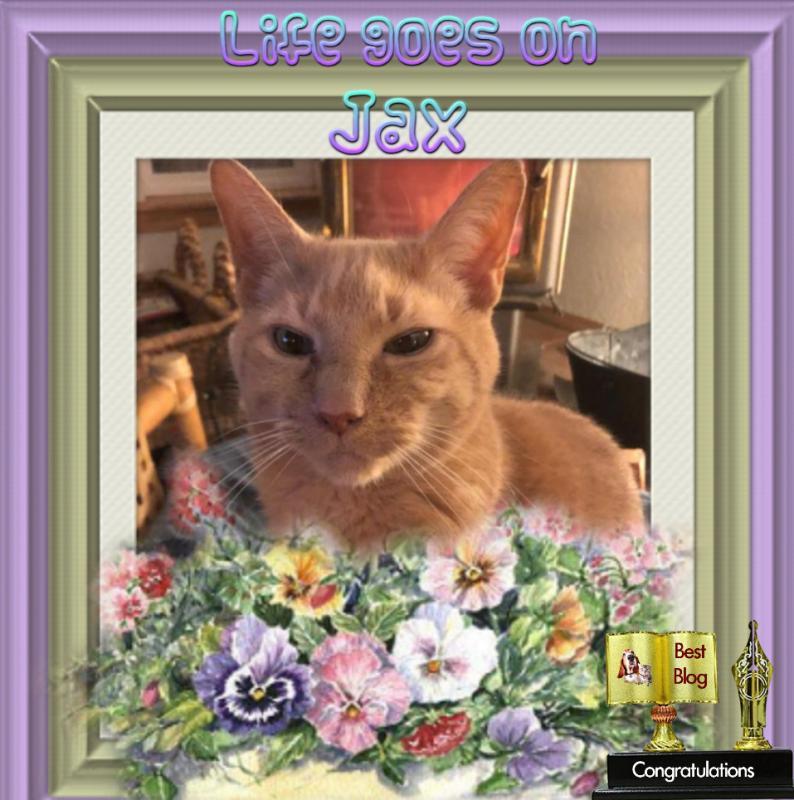 Jax uploaded   1 year/s ago