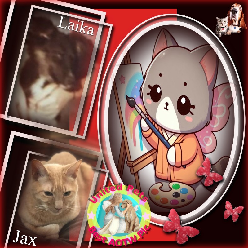 Jax of the Jax family