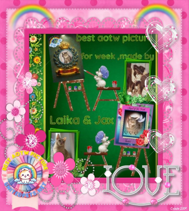 Jax of the Jax family