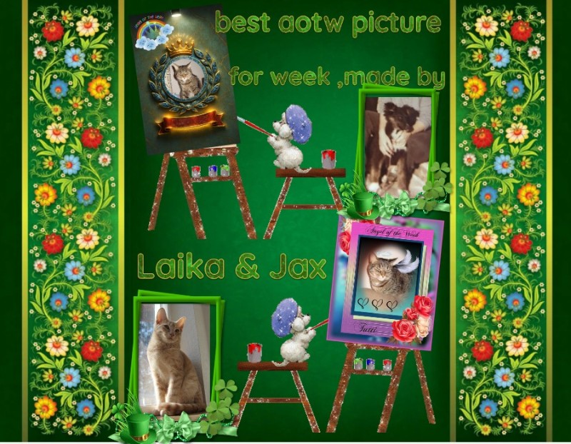 Jax of the Jax family