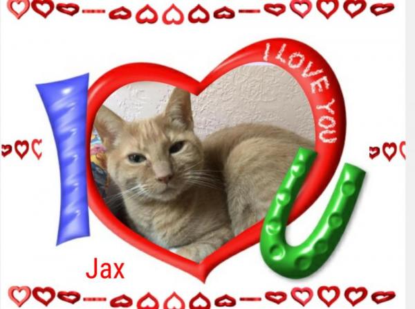 Jax uploaded   1 year/s ago