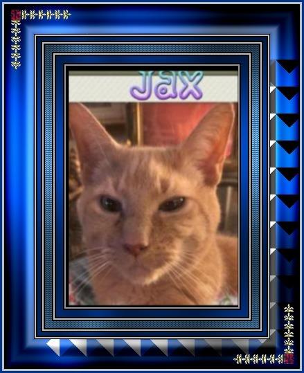 Jax uploaded   1 year/s ago