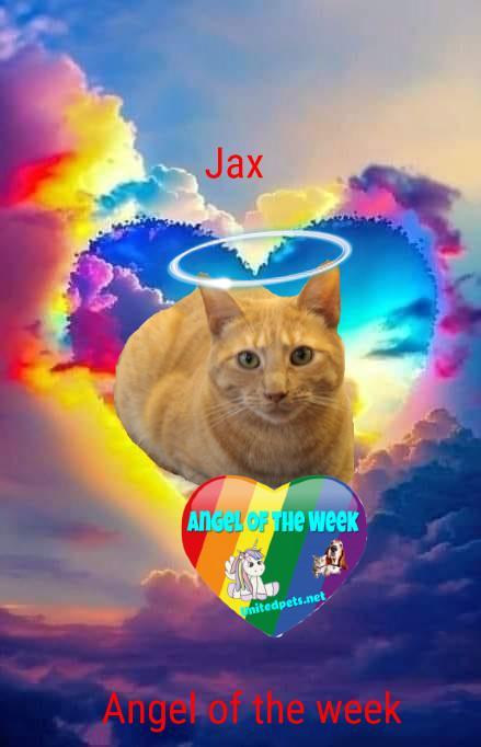 Jax uploaded   216  day/s  ago