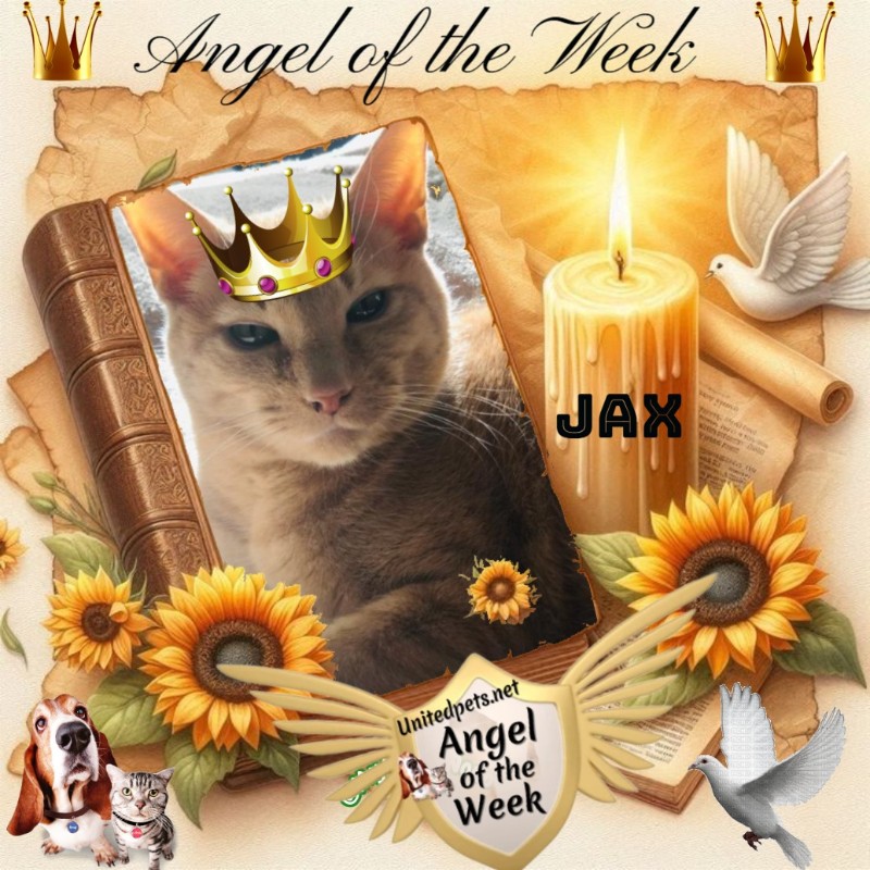 Jax uploaded   215  day/s  ago