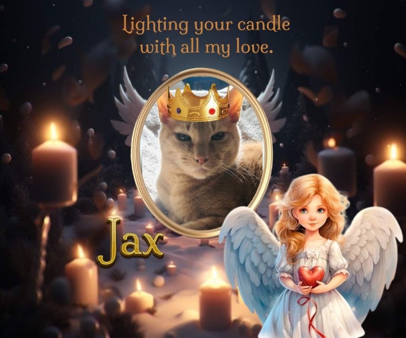 Jax uploaded   215  day/s  ago