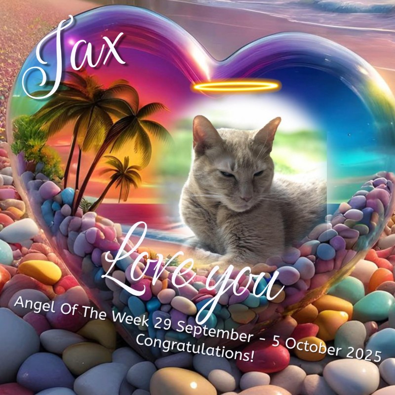 Jax uploaded   215  day/s  ago