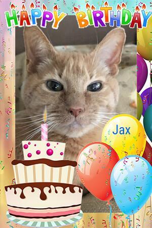 Jax uploaded   211  day/s  ago