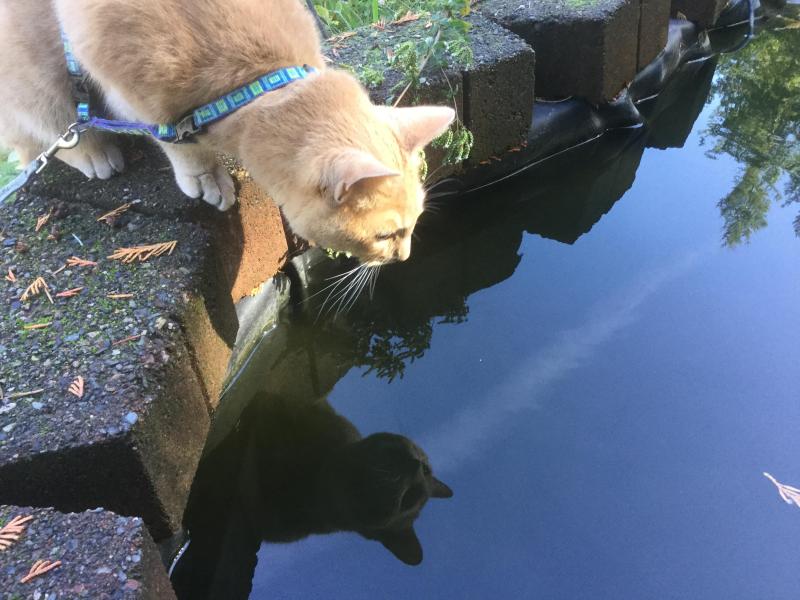 Jax uploaded   19 hour/s ago