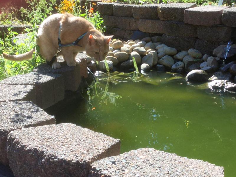 Jax uploaded   19 hour/s ago