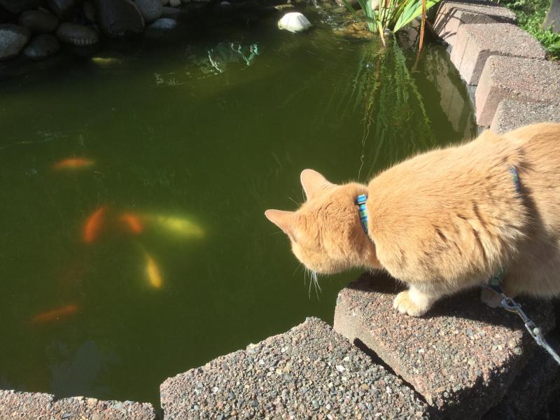 Jax uploaded   19 hour/s ago