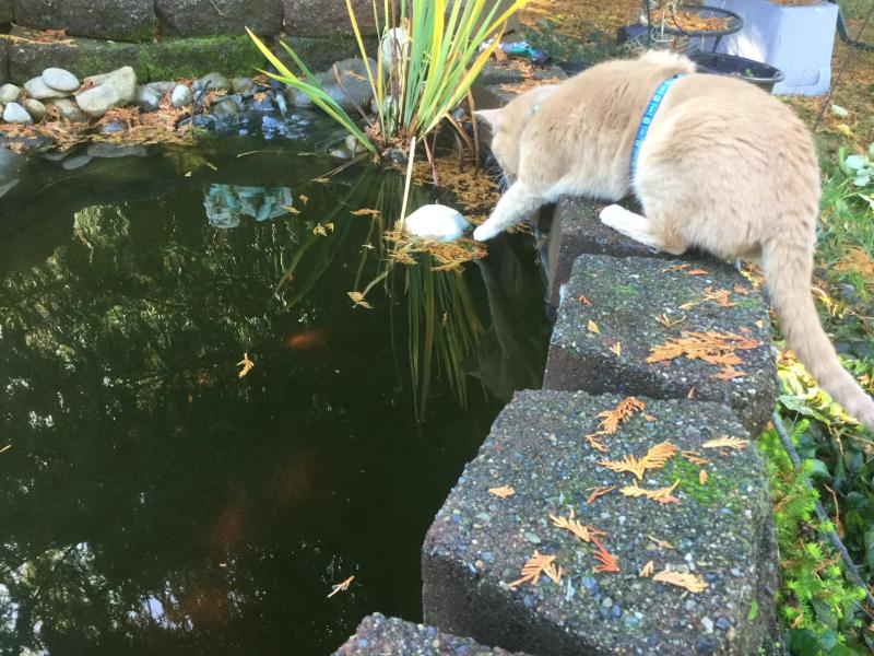 Jax uploaded   19 hour/s ago