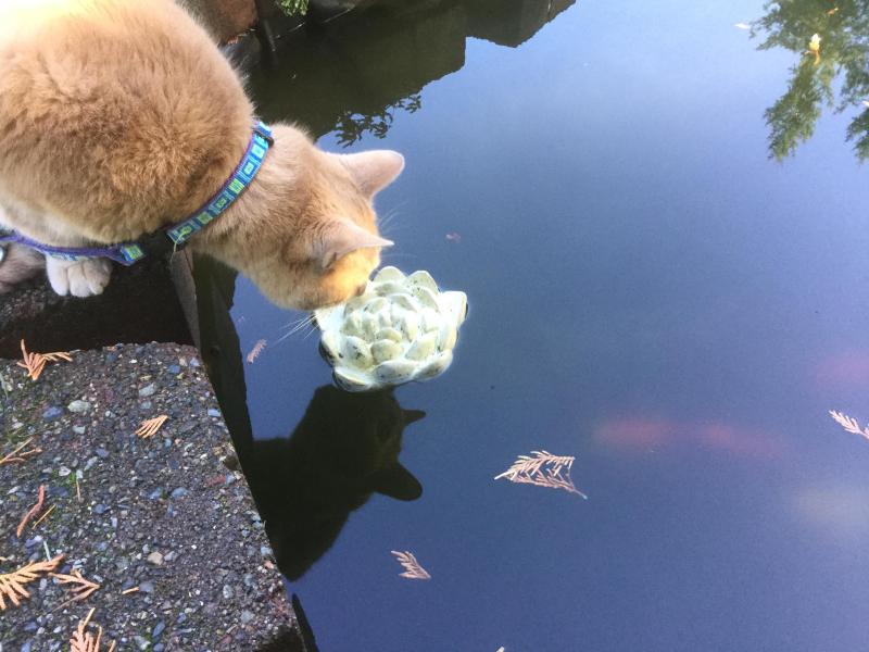 Jax uploaded   19 hour/s ago