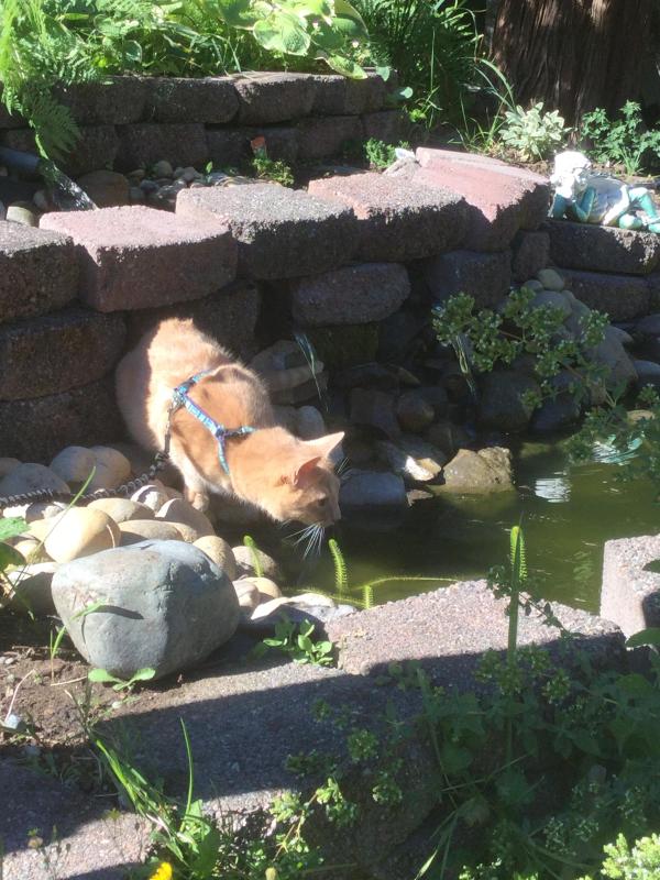 Jax uploaded   19 hour/s ago