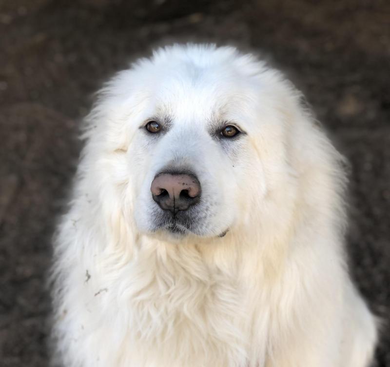 Jax uploaded   1 year/s ago