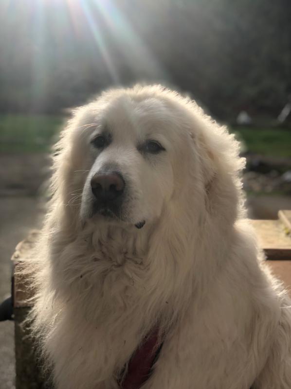 Jax uploaded   1 year/s ago