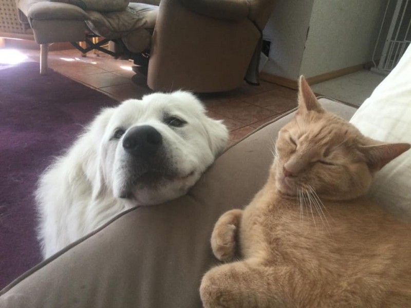 Jax uploaded   4 year/s ago