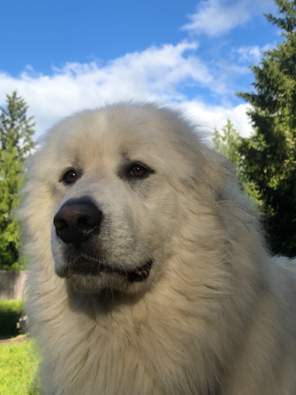 Jax uploaded   3 year/s ago