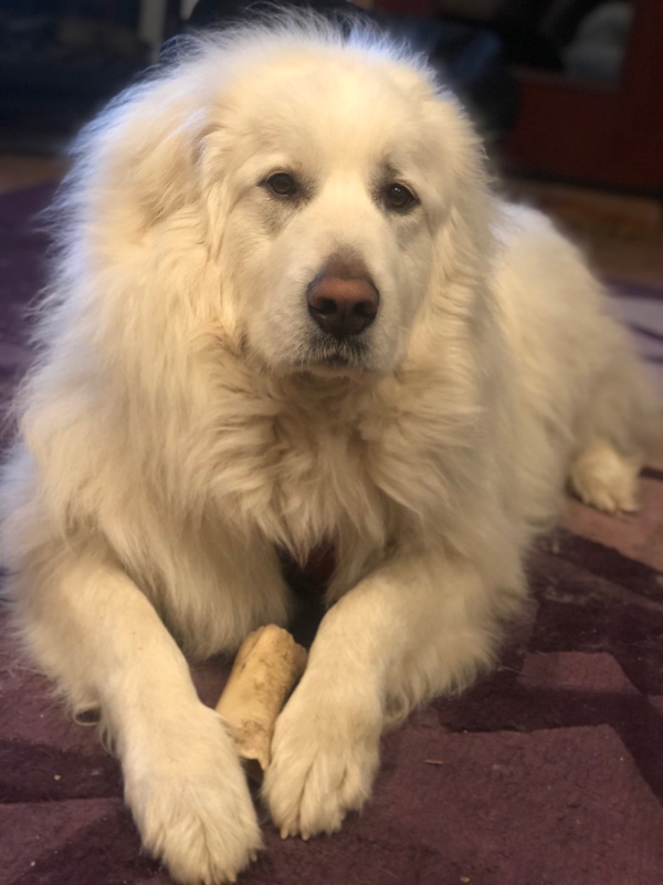 Jax uploaded   3 year/s ago