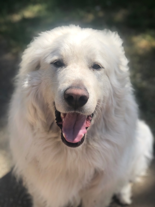 Jax uploaded   2 year/s ago