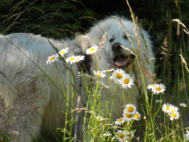 Jax uploaded   2 year/s ago