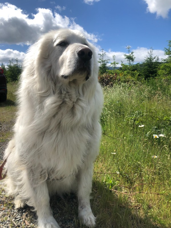 Jax uploaded   1 year/s ago